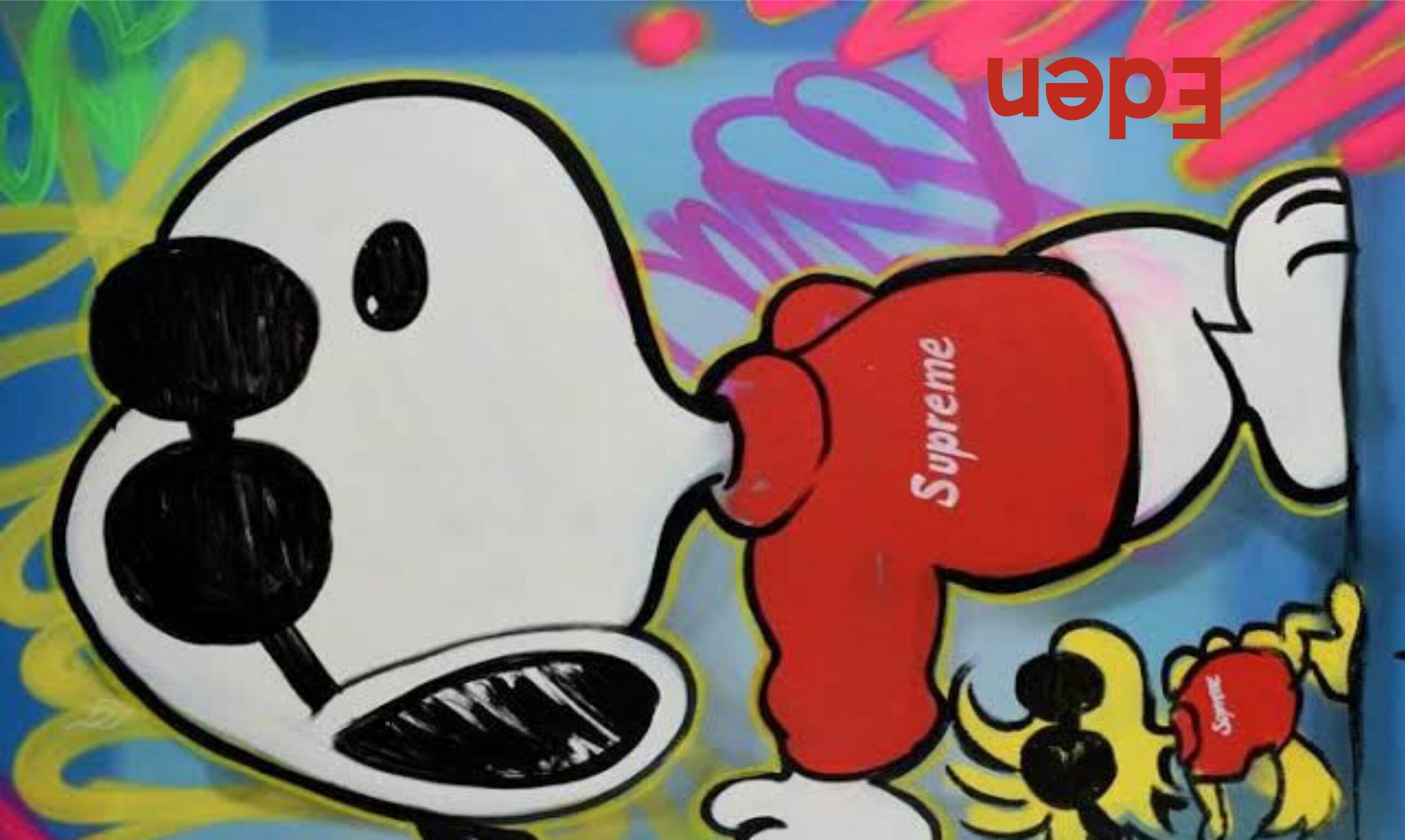 Snoops