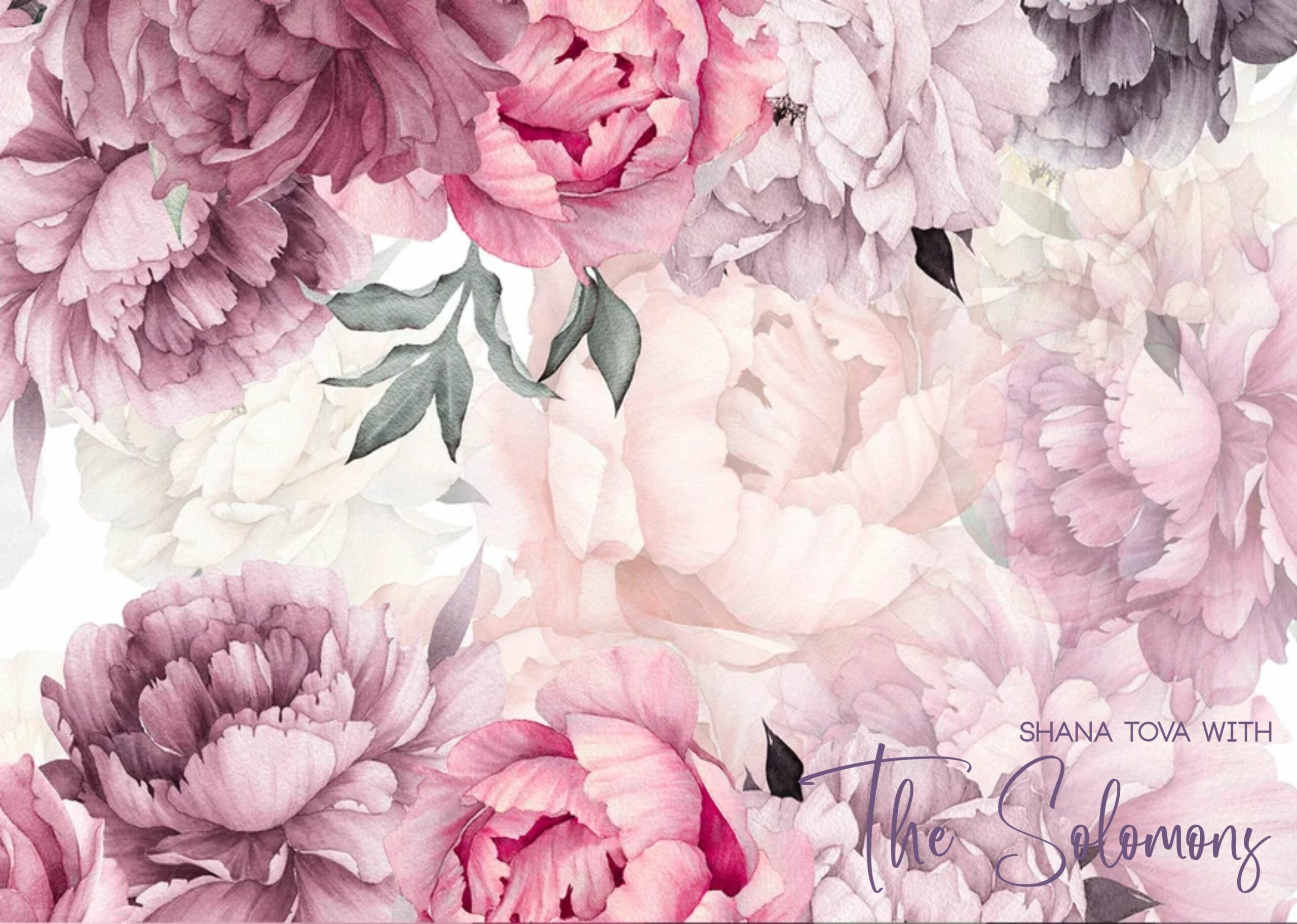Soft peonies