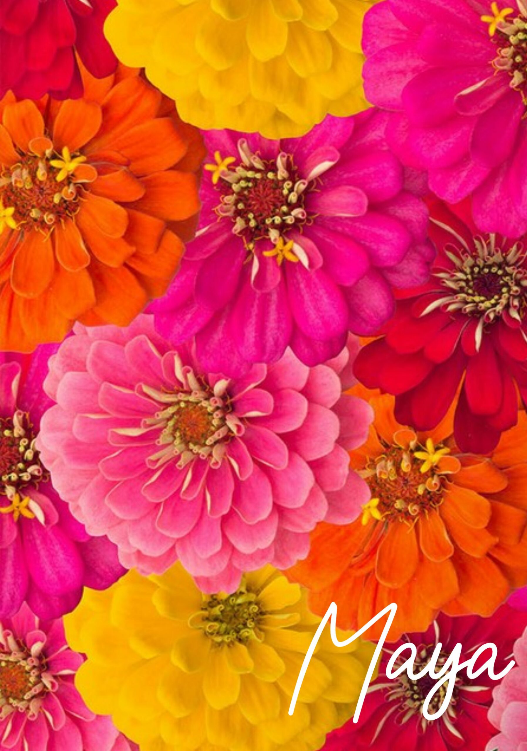 Spring bright