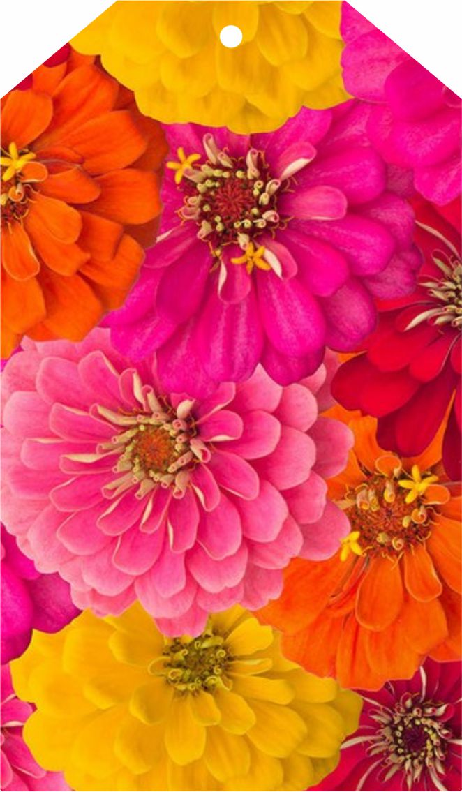 Spring flowers 2 - Image 5