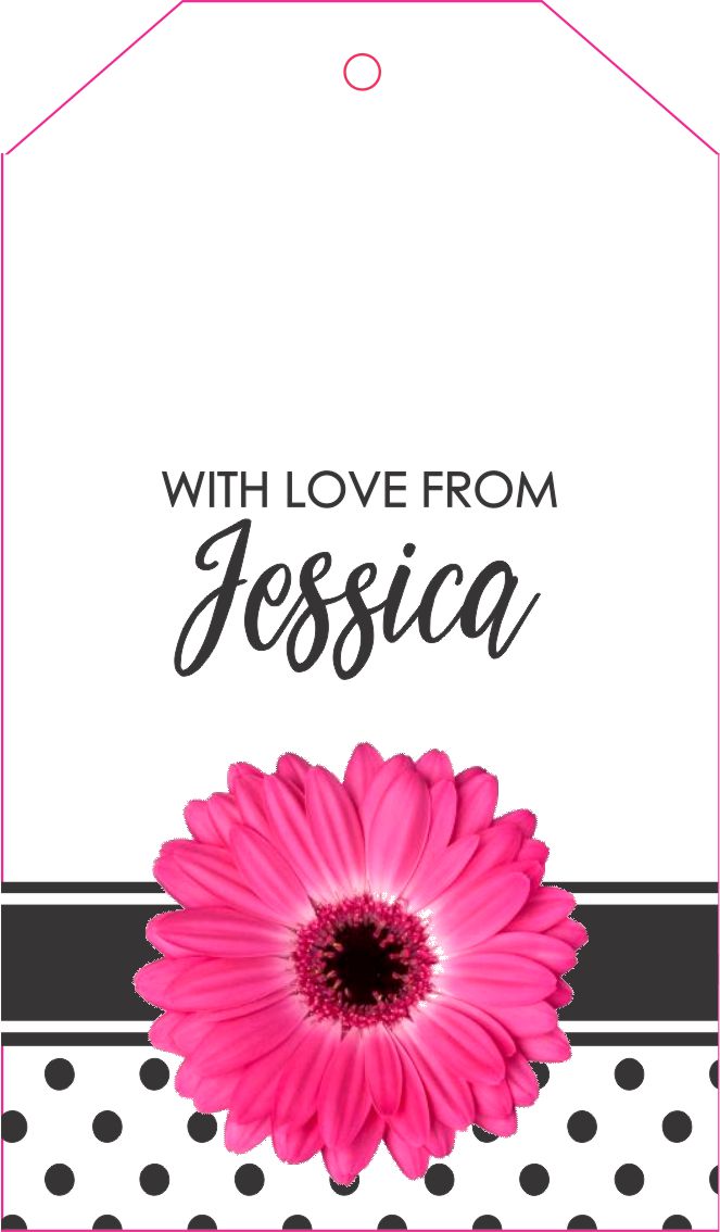 Gerbera Pink