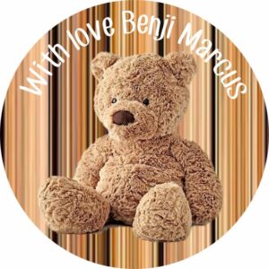 Teddy on wood