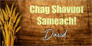 Wheet on wood