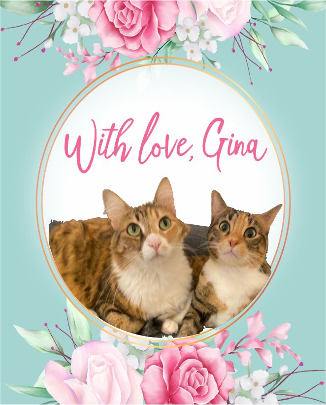 Cats