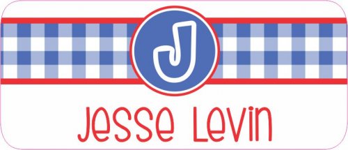 Gingham blue n red