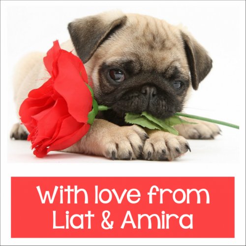 Dog with rose