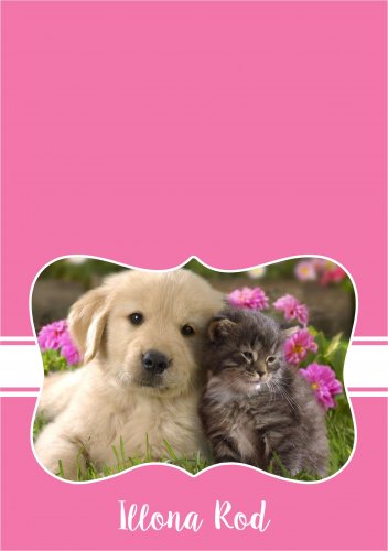 Puppy & Kitty