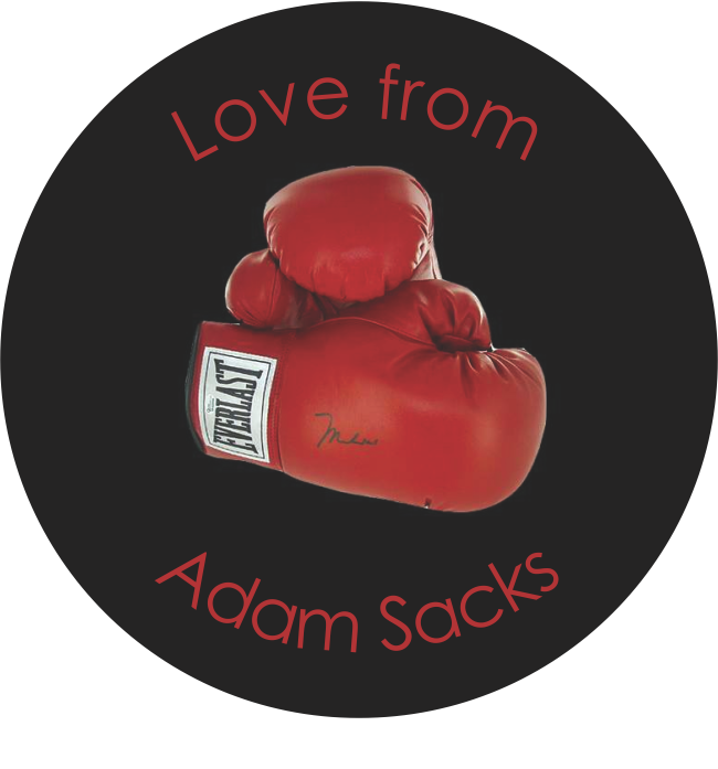 Boxing gloves