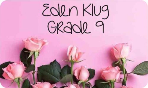 Roses on pink