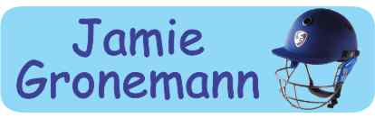 Cricket Helmet on light blue