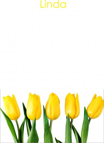 Tulips yellow