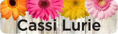 Rustic gerberas