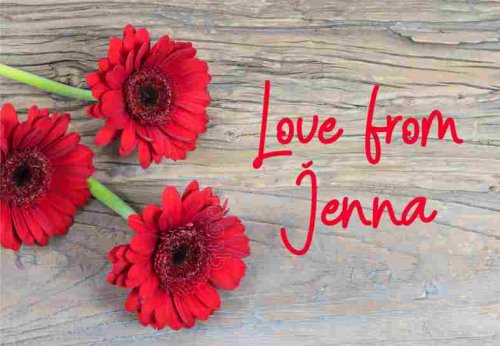 Rustic gerberas red