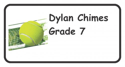 Tennis net