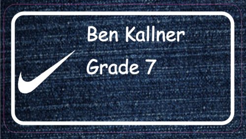 Tick on denim