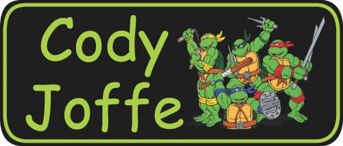 Turtles