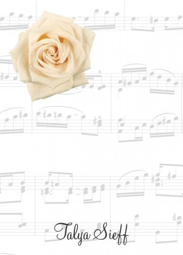 Cream rose