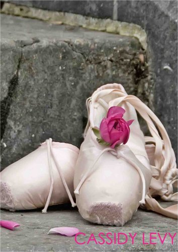 Ballet shoes satin