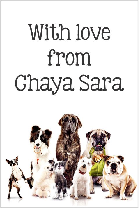For the love of dogs