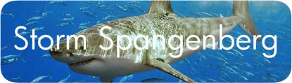 Great white shark