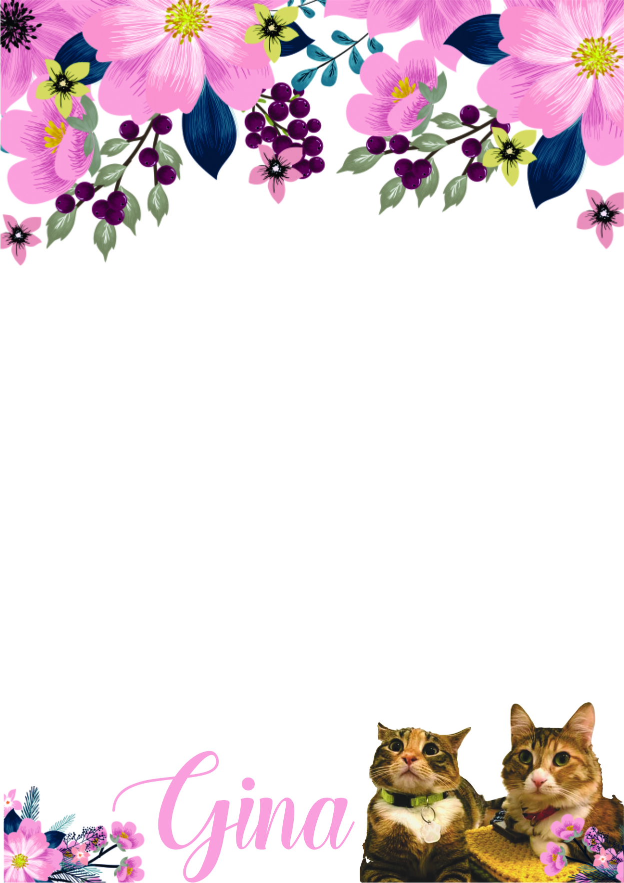 Kittys