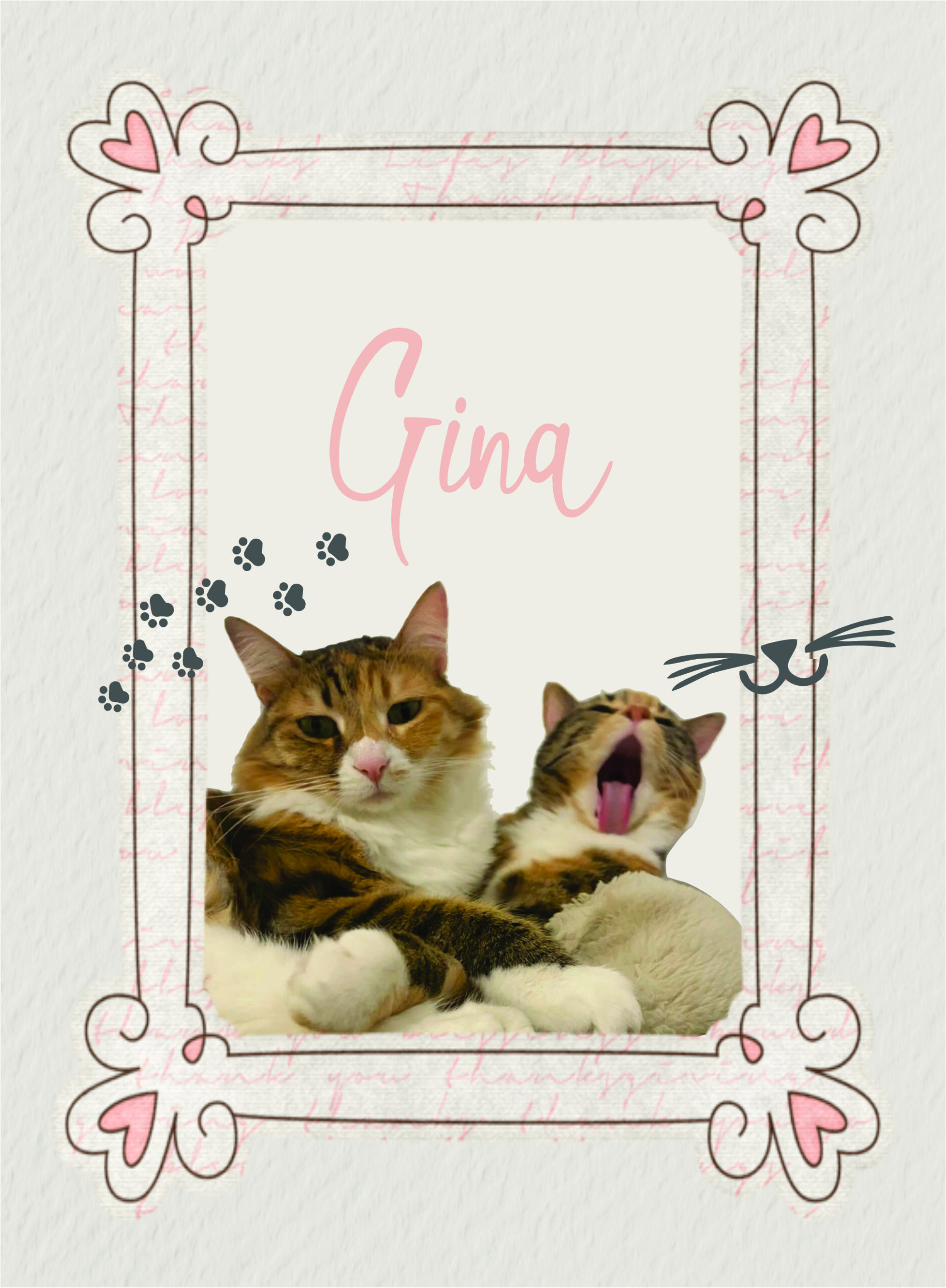 Kittys