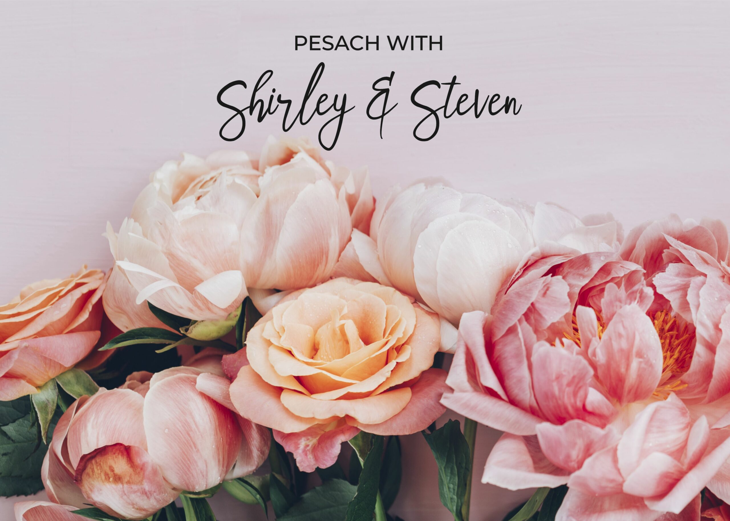 Peach roses