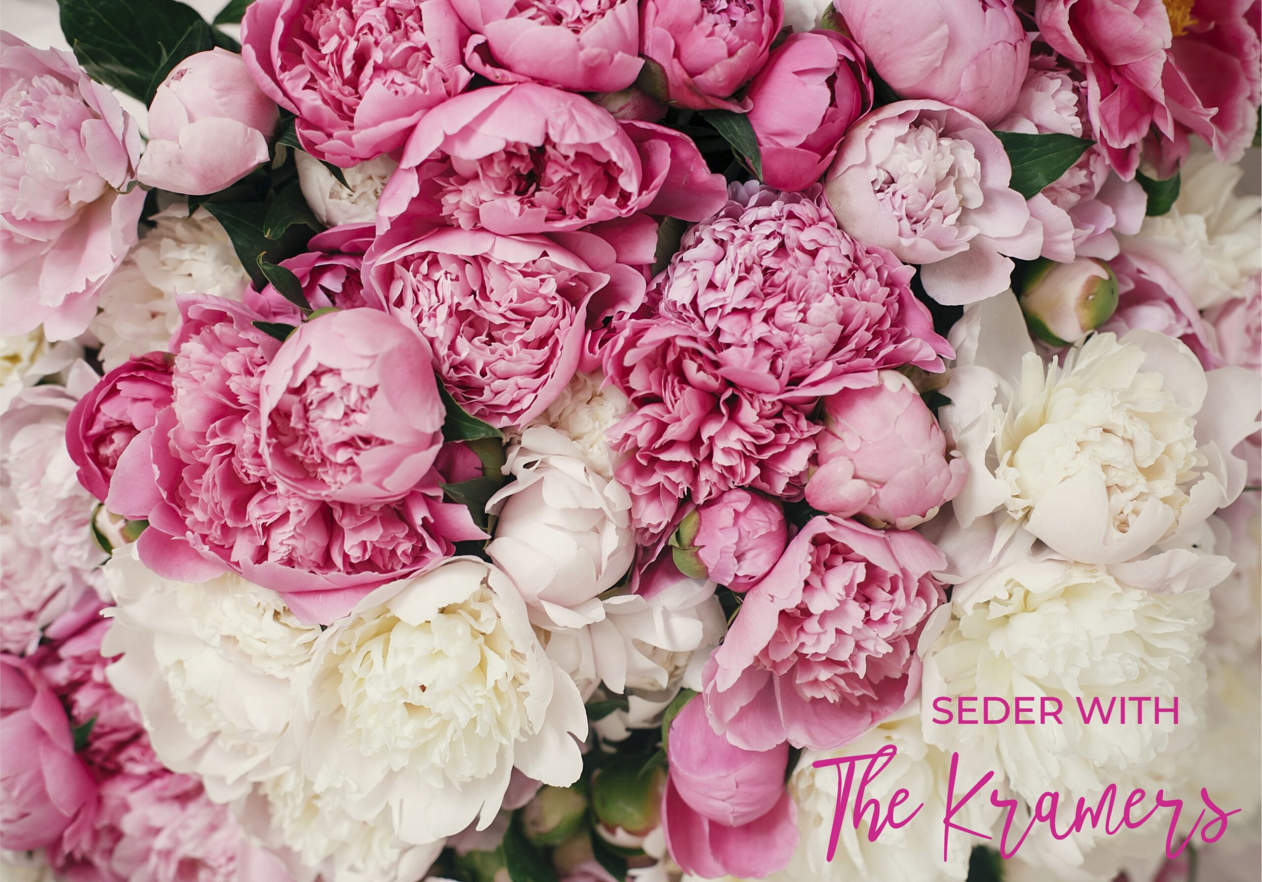 Pink & white peonies