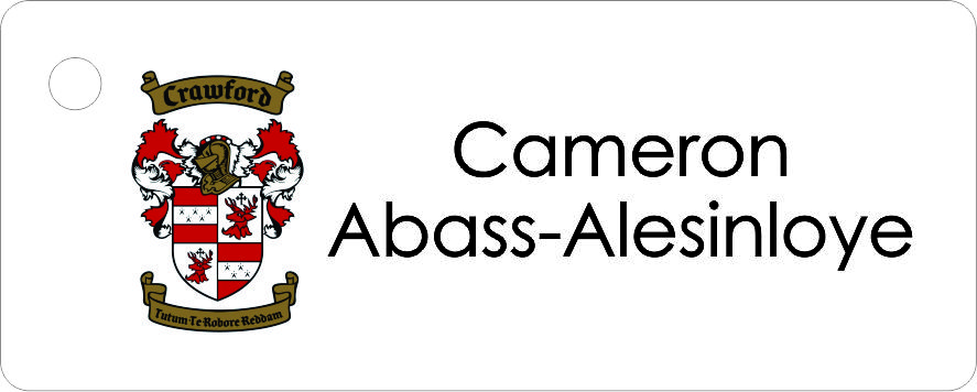 School badge